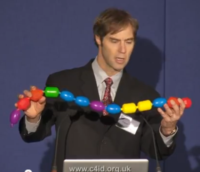 A sequence of amino acids forming a protein A sequence of amino acids forming a protein