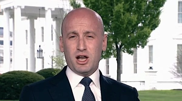 White House Deputy Chief of Staff for Policy Stephen Miller (Video screenshot)