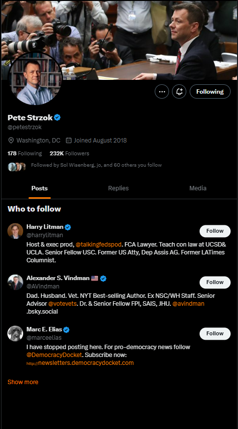 Peter Strzok's X Profile following the purge.