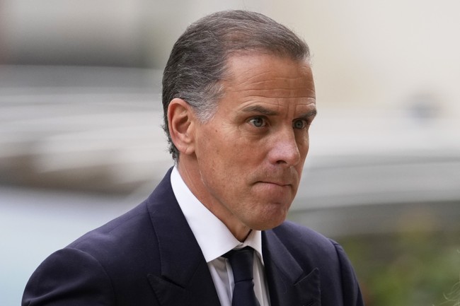 Hunter Biden Goes to Town on Dems in Blistering Attack – RedState