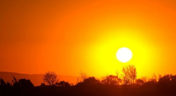 Social services worker charged for death of 3-year-old boy she left in hot car * WorldNetDaily * by Bob Unruh