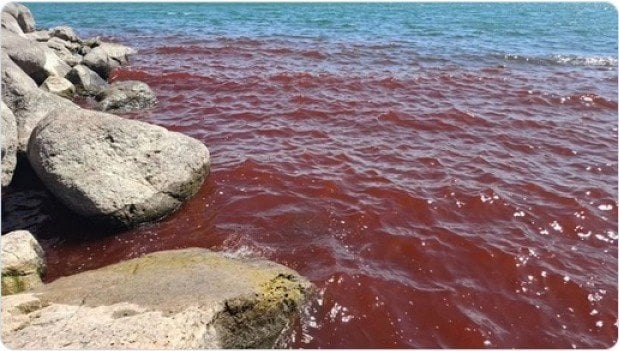 Sign of the Apocalypse? Sea of Galilee turns blood-red * WorldNetDaily * by WND Staff
