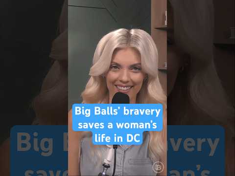 Big Balls’ bravery saves a woman’s life in DC * WorldNetDaily * by Liz Wheeler
