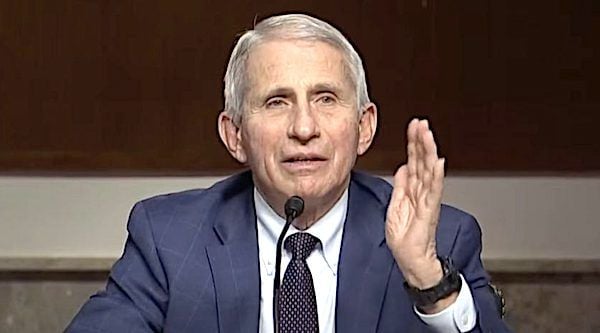 Dr. Anthony Fauci responds to Sen. Rand Paul, R-Ky., at a Senate hearing Jan. 11, 2022 (Video screenshot)