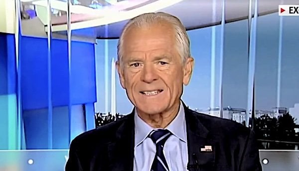 Peter Navarro, White House senior counsel for Trade and Manufacturing