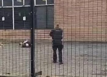 Suspect in synagogue attack, named 'Jihad,' had been investigated for alleged rape * WorldNetDaily * by WND Staff