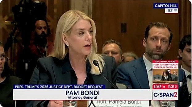 Pam Bondi delivers heat to Democrats trying to score political points during hearing * WorldNetDaily * by WND Staff