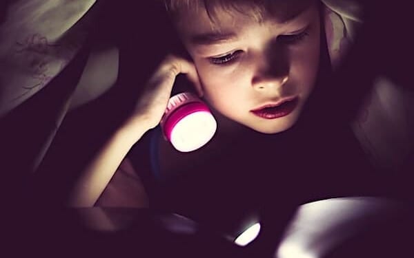 Judge makes significant ruling for schools on 'children's book promoting same-sex marriage' * WorldNetDaily * by Bob Unruh