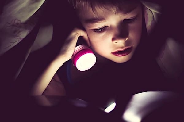 Judge makes significant ruling for schools on 'children's book promoting same-sex marriage' * WorldNetDaily * by Bob Unruh