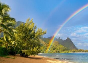 Aloha! RNC takes election integrity fight across the Pacific * WorldNetDaily * by Elizabeth Troutman Mitchell, The Daily Signal