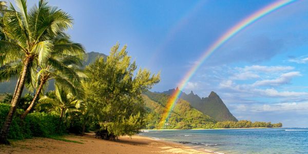 Aloha! RNC takes election integrity fight across the Pacific * WorldNetDaily * by Elizabeth Troutman Mitchell, The Daily Signal