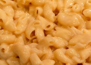 Fox News pair eviscerates Newsom over claim to be a 'mac and cheese kid' * WorldNetDaily * by WND Staff