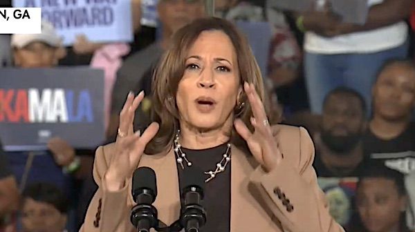 'Are you f*king kidding me?!' * WorldNetDaily * by WND Staff