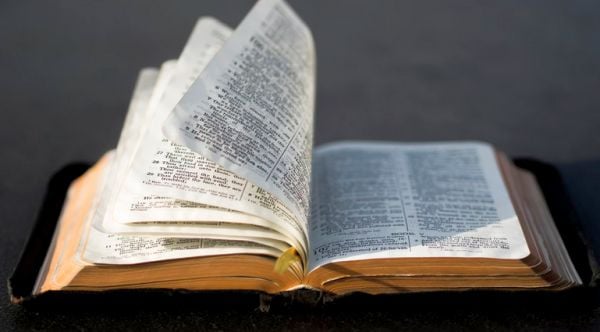 Academics bizarrely put 'trigger warnings' on various events in the Bible * WorldNetDaily * by Bob Unruh