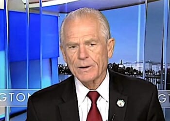 Peter Navarro, White House senior counselor for trade and manufacturing (Video screenshot)