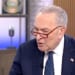 U.S. Sen. Chuck Schumer, D-N.Y. (Video screenshot)