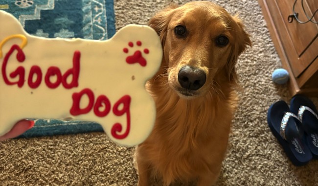 Dogs Don't Care About Your Politics – RedState