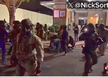 Legal and needed in Portland & Chicago * WorldNetDaily * by Andy Schlafly