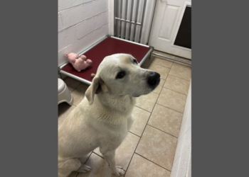 The Worst Best Job – RedState