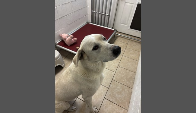 The Worst Best Job – RedState