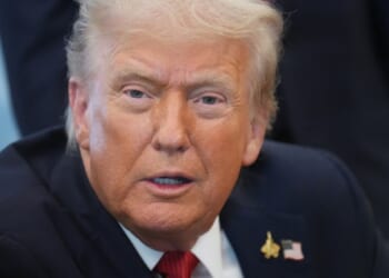 Trump Offered Some Sage Advice for Greta ‘Doom Pixie’ Thunberg After Latest Detainment – RedState