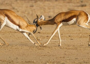 William Lane Craig’s moral argument, and five objections to it