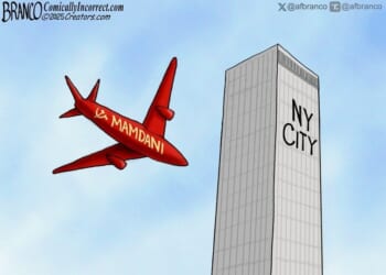 Zohran the Destroyer * WorldNetDaily * by A.F. Branco
