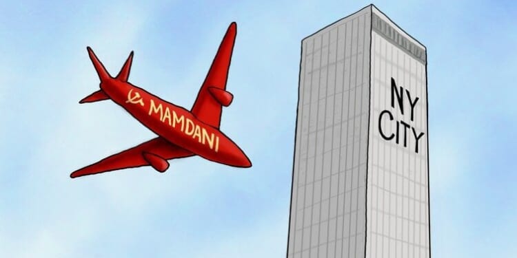 Zohran the Destroyer * WorldNetDaily * by A.F. Branco