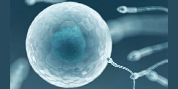 Restrictions looming for sperm donors after study results * WorldNetDaily * by Cassy Cooke, Live Action News