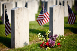 The Silence After the Guns