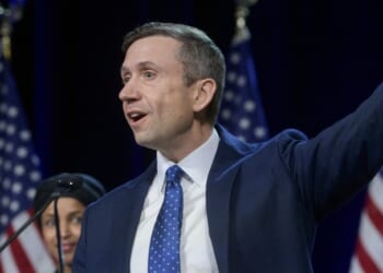 DNC Chair Gets Owned During Interview Over Schumer Shutdown as New Poll Shows How Deep Dems' Issues Get – RedState