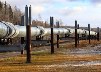 (Image by jotoya from Pixabay)