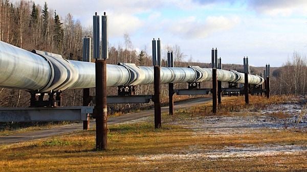 (Image by jotoya from Pixabay)