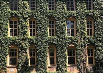 Princeton University n Princeton, New Jersey (Photo by Kirubakaran Manoharan on Unsplash)