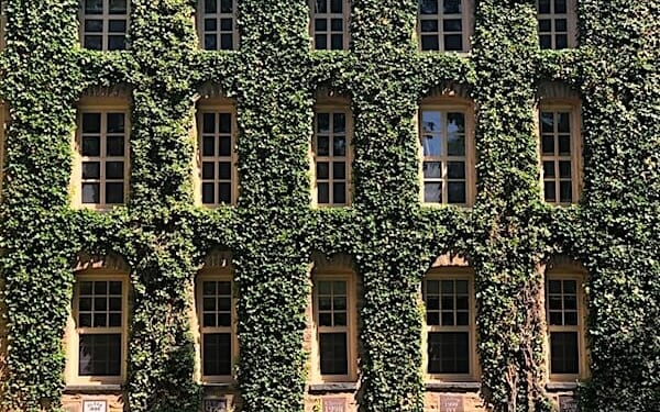 Princeton University n Princeton, New Jersey (Photo by Kirubakaran Manoharan on Unsplash)