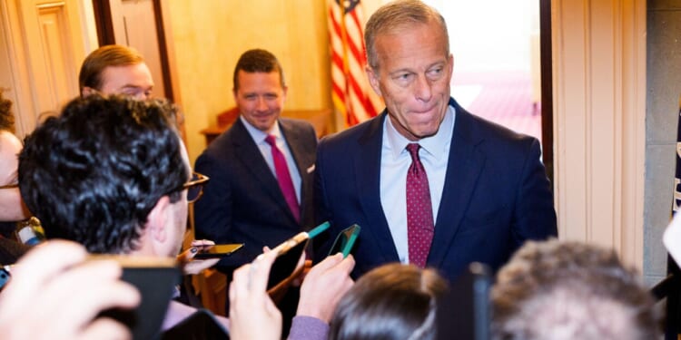 Thune Blocks Democrat Obamacare Plan, Citing 'Failed Promises' and Rising Costs