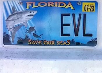 (Photo by Joe Kovacs)