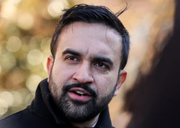 5 Radicals on Mamdani's Transition Team