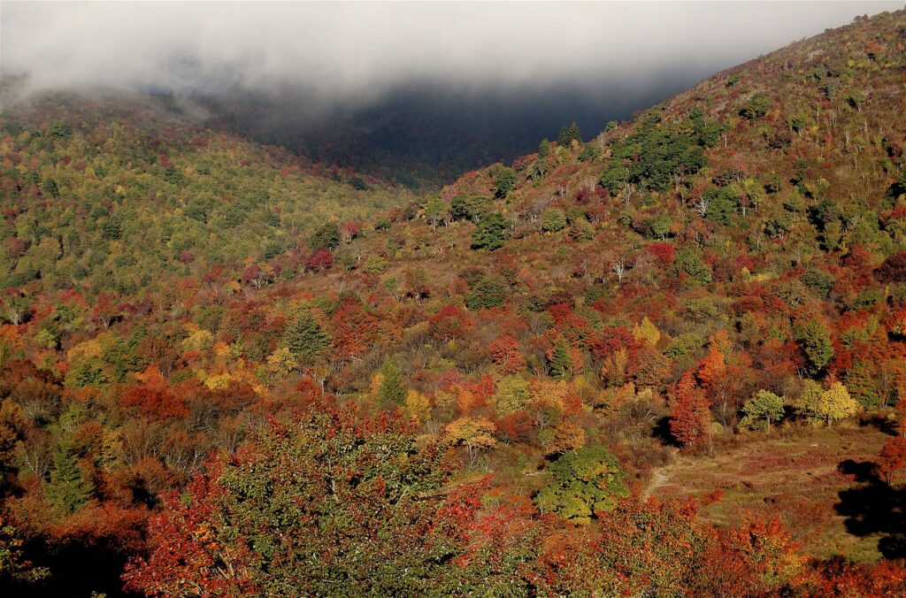 Graveyard Fields, NC