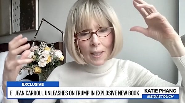 E. Jean Carroll (Video screenshot)