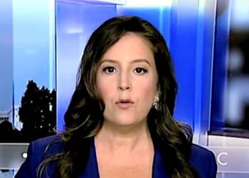 U.S. Rep. Elise Stefanik, R-N.Y. (Video screenshot)