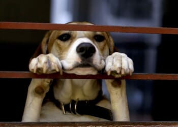 Give a Little Bit – RedState