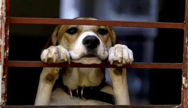 Give a Little Bit – RedState