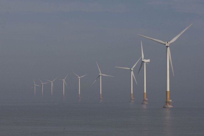 Oh, Come On! Clinton-Appointed Judge Jumps in to Stop Trump's Wind Project Order – RedState