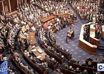 Redistricting battles, state by state * WorldNetDaily * by Andy Schlafly