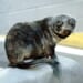 So, a Seal Walks Into a Bar... – RedState