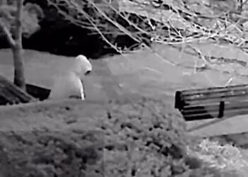 Suspect in D.C. pipe bomb case arrested after 5-year investigation * WorldNetDaily * by Bob Unruh