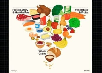 RFK Jr. announces new federal nutrition guidelines, flips food pyramid upside down * WorldNetDaily * by Ron Strom