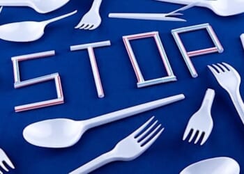 (Photo by Volodymyr Hryshchenko on Unsplash)