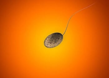 (Image courtesy Pixabay)